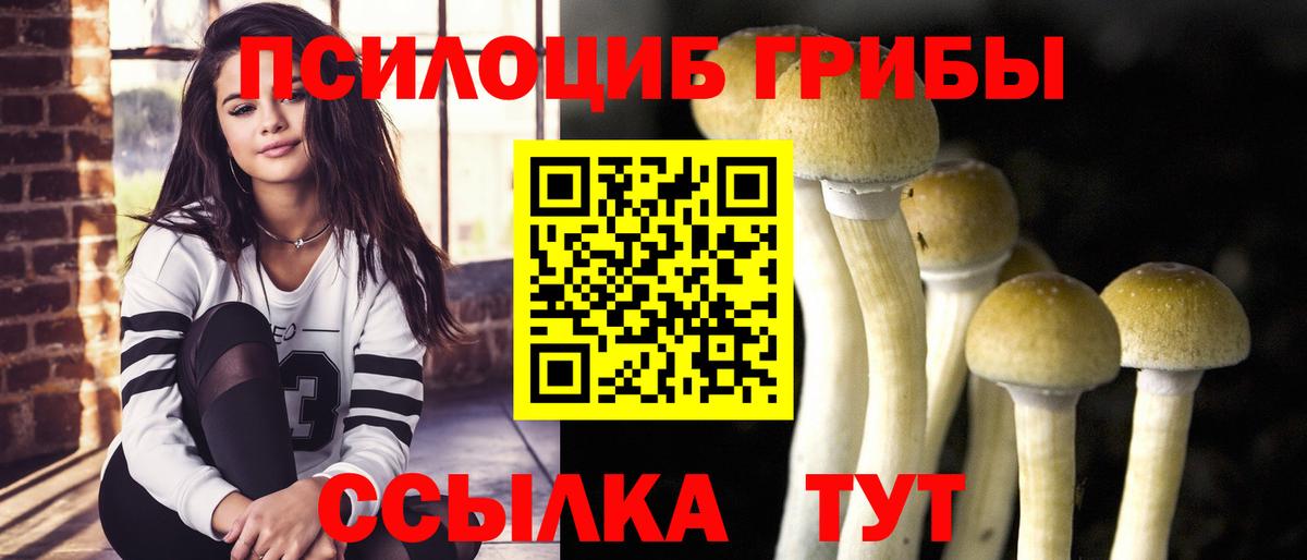 Галлюциногенные грибы мухоморы Тамбов